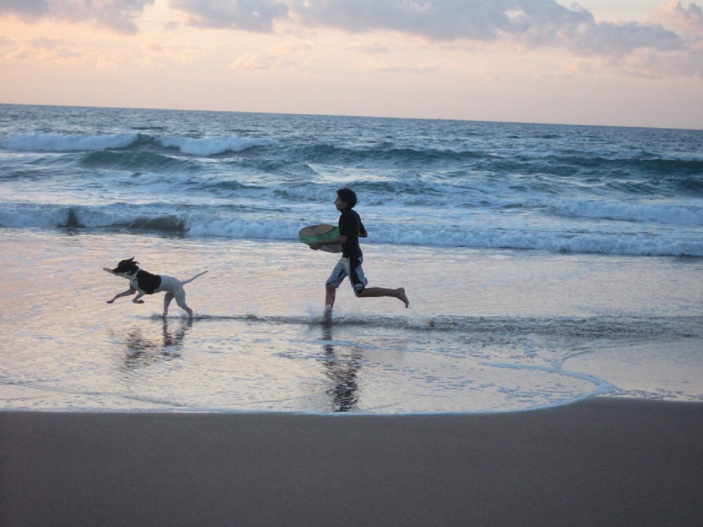 bimbo-cane-corrono-spiaggia